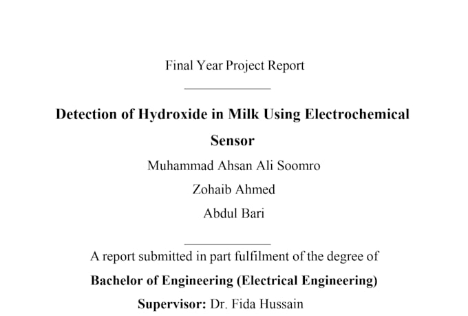 write professional technical reports documentation